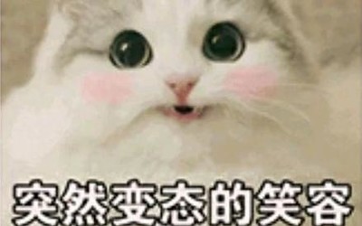 微信斗图如何屡战屡胜？这份官方教学必须看:只需一步