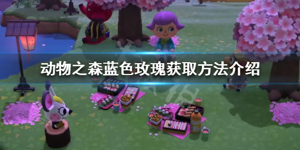 游侠网