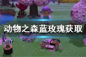 《集合啦动物森友会》蓝玫瑰怎么获得 蓝色玫瑰获取方法介绍