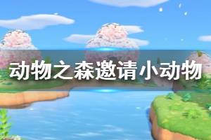 《集合啦动物森友会》怎么邀请小动物 邀请小动物方法介绍