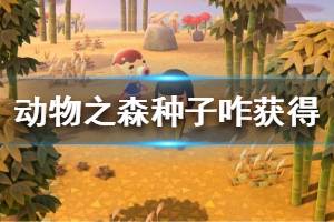 《集合啦动物森友会》种子怎么获得 种子获取方法一览