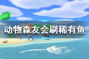 《集合啦动物森友会》稀有鱼怎么刷 刷稀有鱼方法介绍