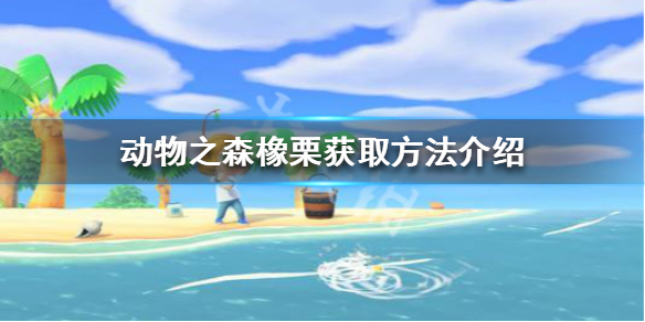 游侠网