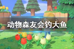 《集合啦动物森友会》怎么钓大鱼 钓大鱼技巧分享