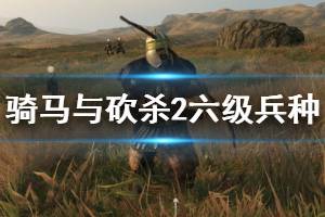 《骑马与砍杀2》六级兵种谁最强？各国6级兵战斗力排行与简单评价