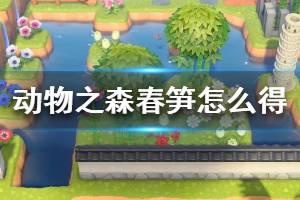 《集合啦动物森友会》春笋怎么获得 春笋获取方法介绍