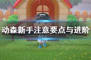 《集合啦动物森友会》新手教程全面解析 新手向进阶技巧介绍