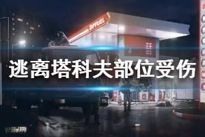 《逃离塔科夫》全部位受伤机制介绍 各部位受伤负面效果说明