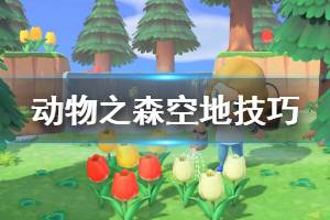 《集合啦动物森友会》怎么让空地不被强塞动物 空地使用技巧分享
