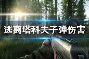 《逃离塔科夫》全类型子弹伤害怎么样 全子弹伤害数据说明