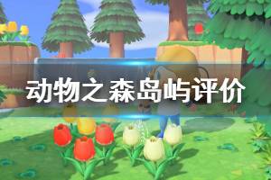 《集合啦动物森友会》岛屿评价怎么计算 岛屿评价加分项目一览