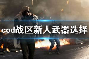 《使命召唤16战区》新人武器怎么选 新人武器选择分享