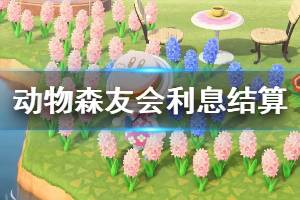 《集合啦动物森友会》利息结算公式一览 利息怎么计算