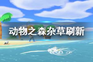 《集合啦动物森友会》杂草多久刷新 杂草刷新机制介绍