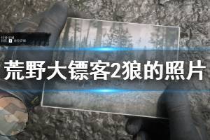 《荒野大镖客2》狼的照片怎么获得 狼的照片获得方法介绍