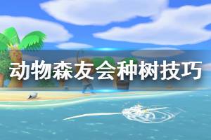 《集合啦动物森友会》树不长大怎么办 种树技巧分享