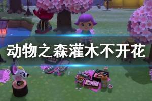 《集合啦动物森友会》灌木不开花怎么办 灌木开花方法介绍