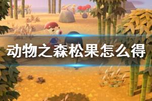 《集合啦动物森友会》松果怎么获得 松果获取方法介绍