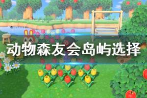 《集合啦动物森友会》新手开局岛屿选择介绍 开局怎么选岛屿