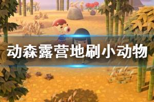 《集合啦动物森友会》露营地怎么刷 露营地刷小动物技巧介绍