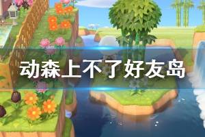 《集合啦动物森友会》上不了好友岛怎么办 无法上岛解决办法介绍