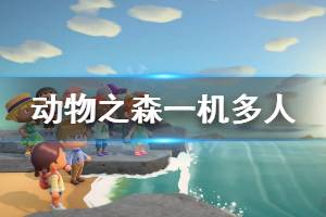 《集合啦动物森友会》一机双人怎么玩 一机多人玩法须知