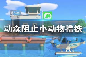 《集合啦动物森友会》怎么阻止小动物撸铁 阻止撸铁方法介绍