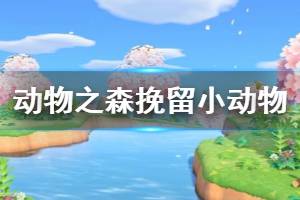 《集合啦动物森友会》怎么挽留要搬走的小动物 挽留小动物方法介绍