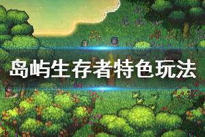 《幸存者》游戏好玩吗？岛屿生存者特色玩法介绍