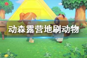 《集合啦动物森友会》怎么刷动物 露营地刷动物方法分享