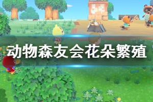 《集合啦动物森友会》花朵繁殖机制讲解 花朵怎么繁殖