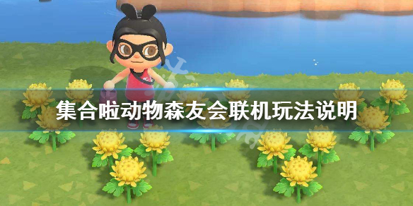 游侠网