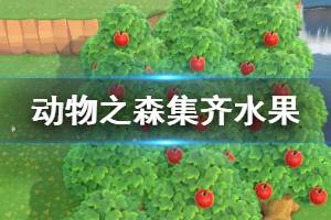 《集合啦动物森友会》怎么集齐水果 集齐水果方法介绍