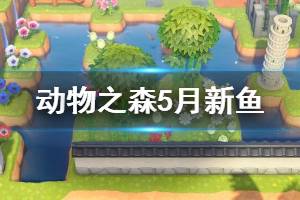 《集合啦动物森友会》5月新鱼有哪些 5月新鱼种类一览