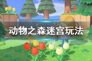 《集合啦动物森友会》迷宫怎么玩 迷宫玩法分享