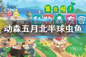 《集合啦动物森友会》五月北半球虫鱼有哪些 五月北半球虫鱼价格一览