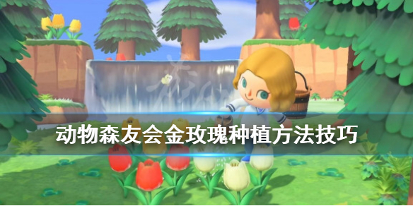 游侠网