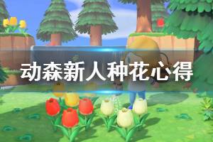 《集合啦动物森友会》新人怎么种花 新人种花心得分享