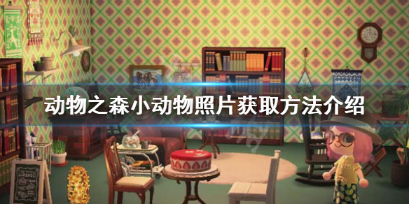 游侠网