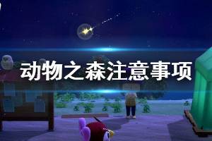 《集合啦动物森友会》游玩要注意什么 游戏日常注意事项一览