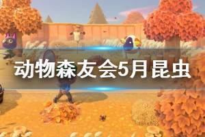 《集合啦动物森友会》5月昆虫收购价格介绍 5月昆虫出现地点说明
