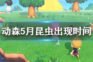 《集合啦动物森友会》5月昆虫出现时间说明 5月昆虫在哪里出现