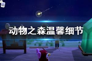 《集合啦动物森友会》有哪些温馨细节 游戏温馨细节分享