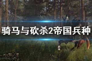 《骑马与砍杀2》帝国兵种详解 帝国兵种战术打法介绍