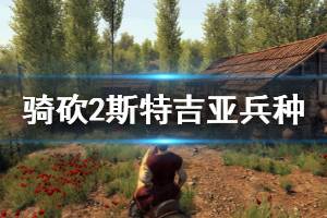 《骑马与砍杀2》斯特吉亚兵种强度怎么样 斯特吉亚兵种战术打法介绍