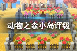 《集合啦动物森友会》岛屿评级怎么提高 小岛评级机制介绍