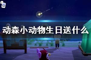 《集合啦动物森友会》小动物生日送什么 小动物生日送礼推荐