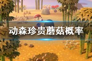 《集合啦动物森友会》珍贵蘑菇出现概率是多少 各类蘑菇出现概率介绍