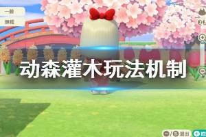 《集合啦动物森友会》灌木苗有哪些 灌木玩法机制说明