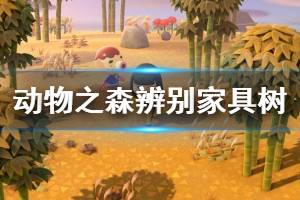 《集合啦动物森友会》家具树怎么辨别 家具树快速判断方法介绍